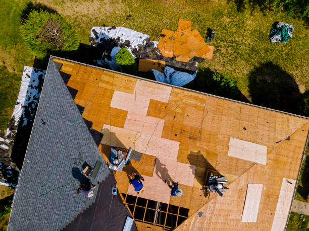 Quick and Trustworthy Emergency Roof Repair Services in Tuscaloosa, AL